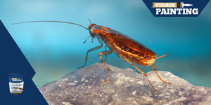 How to permanently get rid of cockroaches?